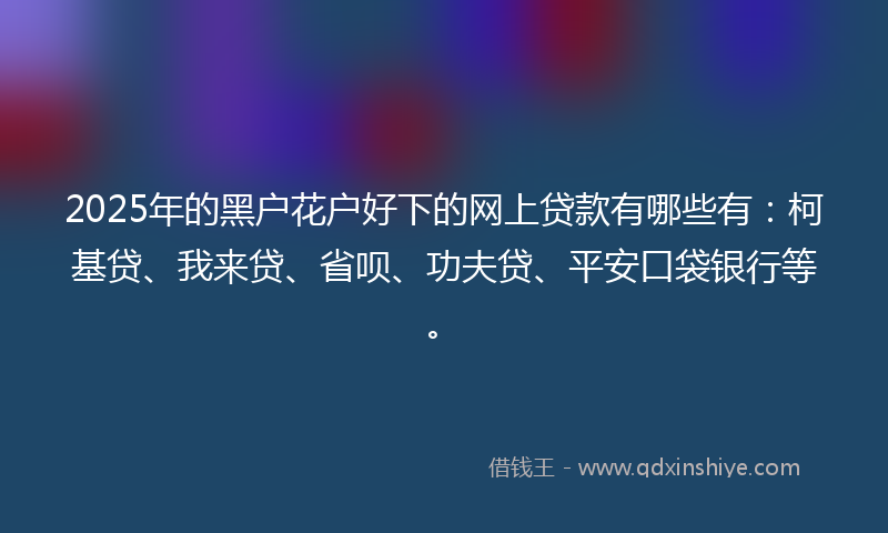 2025年的黑户花户好下的网上贷款有哪些有：柯基贷、我来贷、省呗、功夫贷、平安口袋银行等。