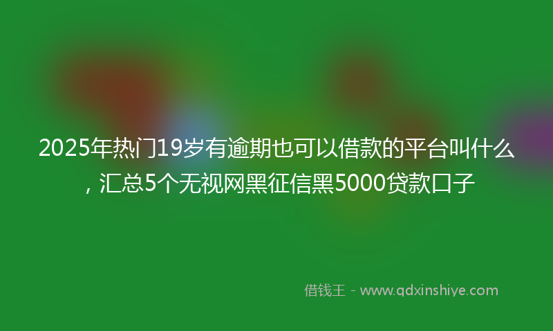 2025年热门19岁有逾期也可以借款的平台叫什么，汇总5个无视网黑征信黑5000贷款口子