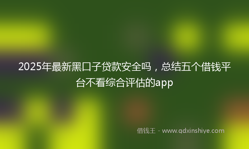 2025年最新黑口子贷款安全吗，总结五个借钱平台不看综合评估的app