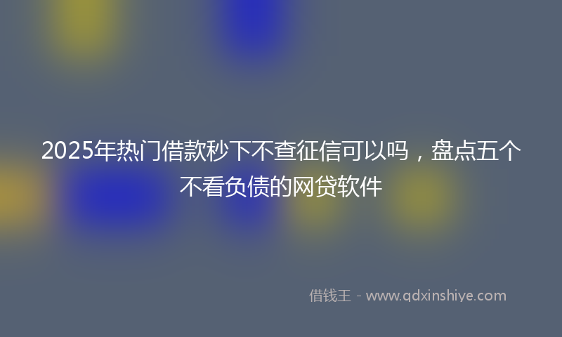 2025年热门借款秒下不查征信可以吗，盘点五个不看负债的网贷软件