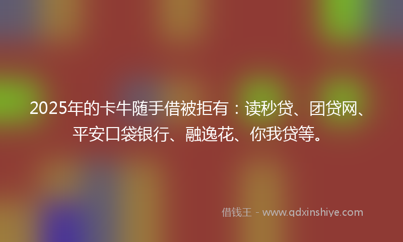 2025年的卡牛随手借被拒有：读秒贷、团贷网、平安口袋银行、融逸花、你我贷等。