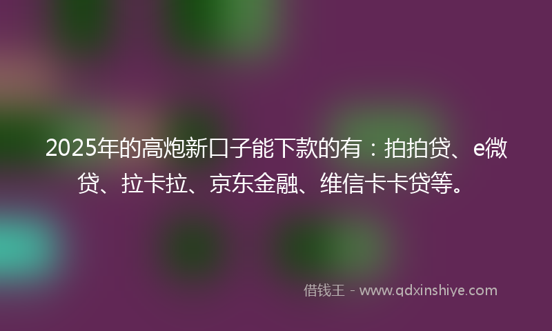 2025年的高炮新口子能下款的有：拍拍贷、e微贷、拉卡拉、京东金融、维信卡卡贷等。