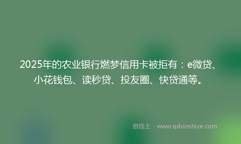 2025年的农业银行燃梦信用卡被拒有：e微贷、小花钱包、读秒贷、投友圈、快贷通等。