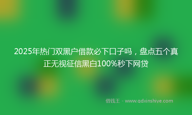 2025年热门双黑户借款必下口子吗，盘点五个真正无视征信黑白100%秒下网贷