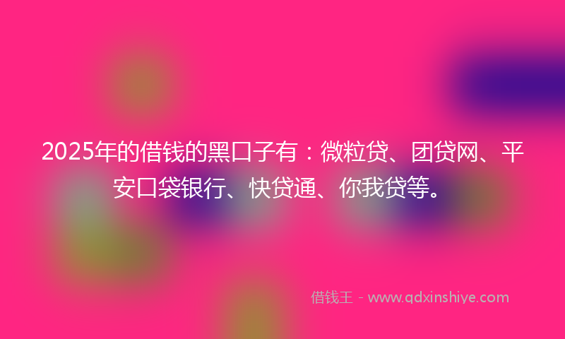 2025年的借钱的黑口子有：微粒贷、团贷网、平安口袋银行、快贷通、你我贷等。