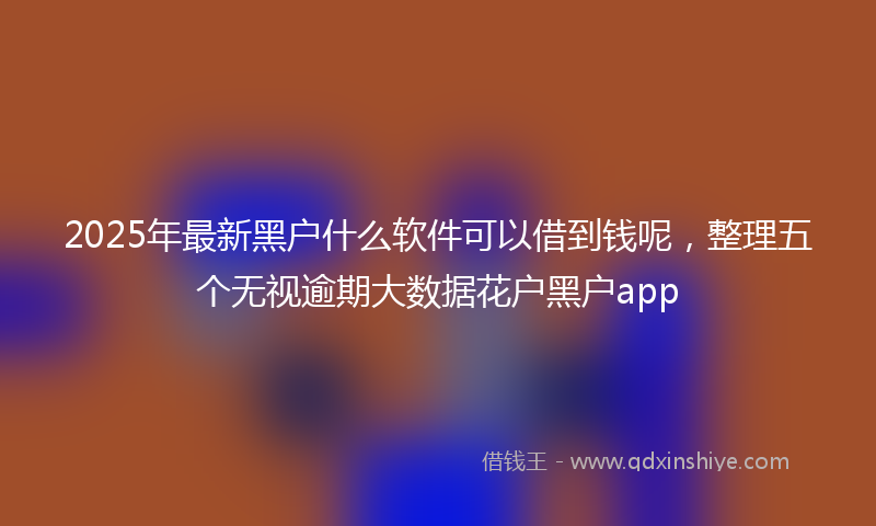 2025年最新黑户什么软件可以借到钱呢，整理五个无视逾期大数据花户黑户app