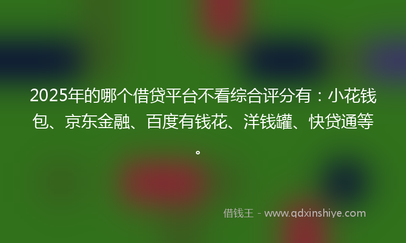 2025年的哪个借贷平台不看综合评分有：小花钱包、京东金融、百度有钱花、洋钱罐、快贷通等。