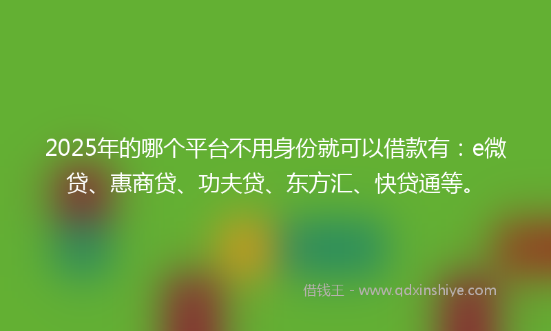 2025年的哪个平台不用身份就可以借款有：e微贷、惠商贷、功夫贷、东方汇、快贷通等。