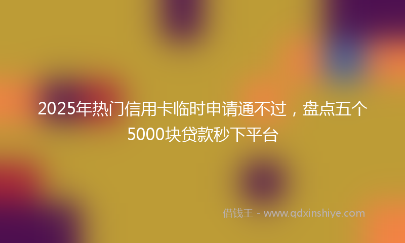 2025年热门信用卡临时申请通不过，盘点五个5000块贷款秒下平台
