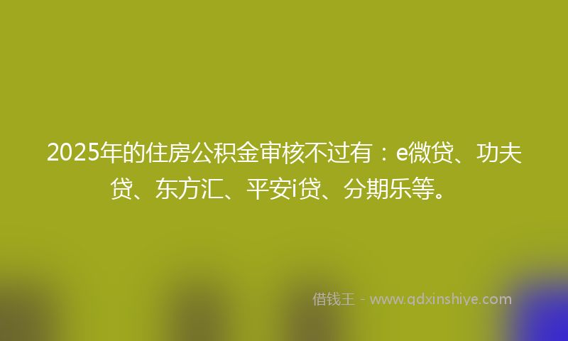 2025年的住房公积金审核不过有：e微贷、功夫贷、东方汇、平安i贷、分期乐等。