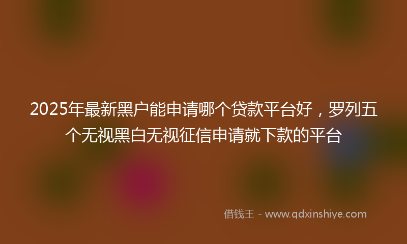 2025年最新黑户能申请哪个贷款平台好，罗列五个无视黑白无视征信申请就下款的平台
