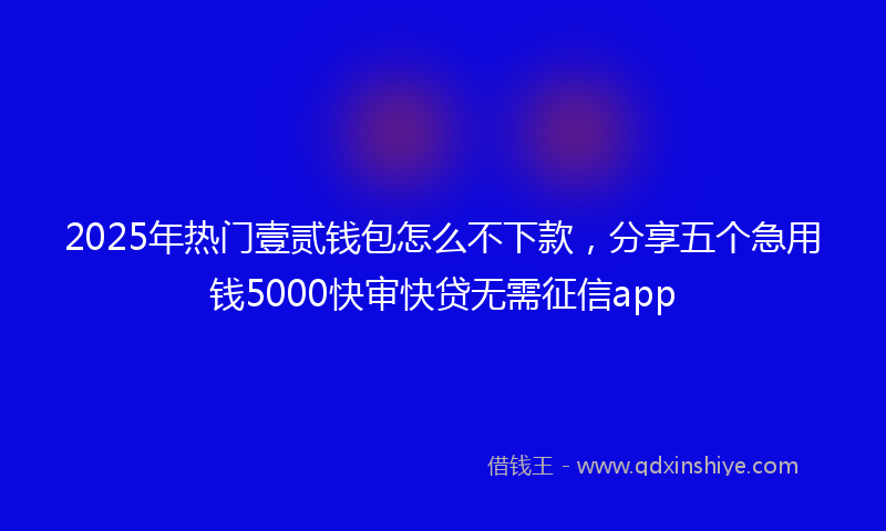2025年热门壹贰钱包怎么不下款，分享五个急用钱5000快审快贷无需征信app