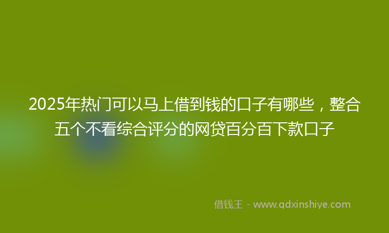 2025年热门可以马上借到钱的口子有哪些，整合五个不看综合评分的网贷百分百下款口子