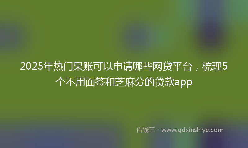 2025年热门呆账可以申请哪些网贷平台，梳理5个不用面签和芝麻分的贷款app