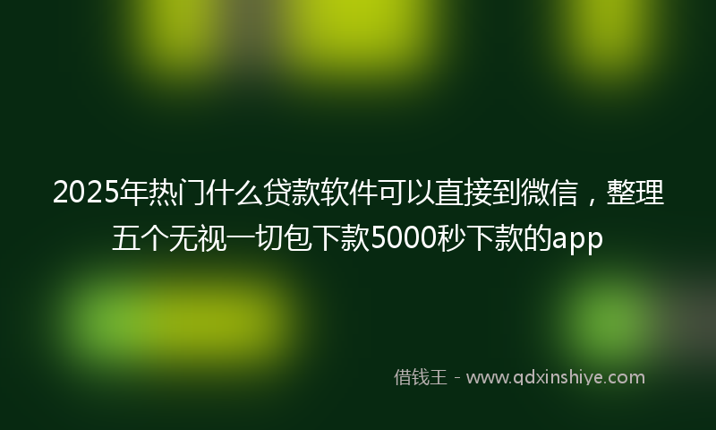 2025年热门什么贷款软件可以直接到微信，整理五个无视一切包下款5000秒下款的app