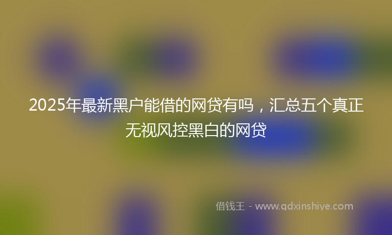 2025年最新黑户能借的网贷有吗，汇总五个真正无视风控黑白的网贷