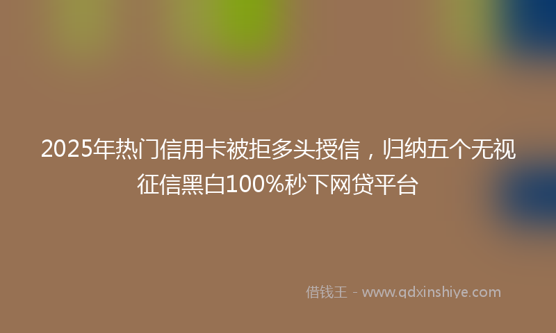 2025年热门信用卡被拒多头授信，归纳五个无视征信黑白100%秒下网贷平台