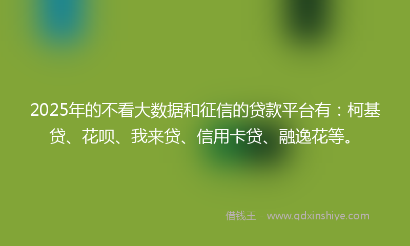 2025年的不看大数据和征信的贷款平台有：柯基贷、花呗、我来贷、信用卡贷、融逸花等。