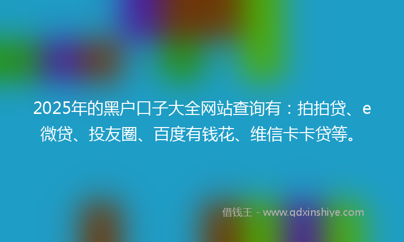 2025年的黑户口子大全网站查询有：拍拍贷、e微贷、投友圈、百度有钱花、维信卡卡贷等。