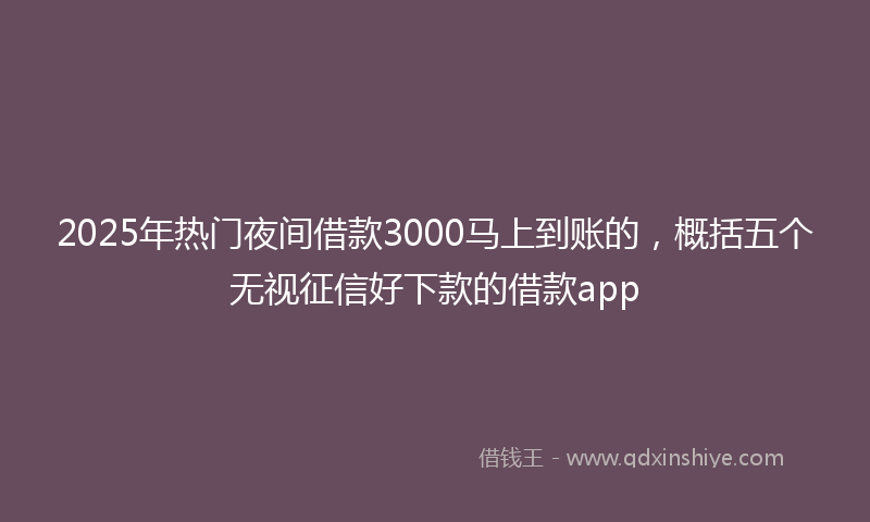 2025年热门夜间借款3000马上到账的，概括五个无视征信好下款的借款app