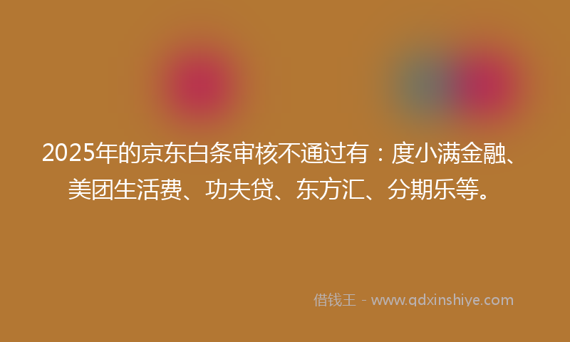 2025年的京东白条审核不通过有：度小满金融、美团生活费、功夫贷、东方汇、分期乐等。