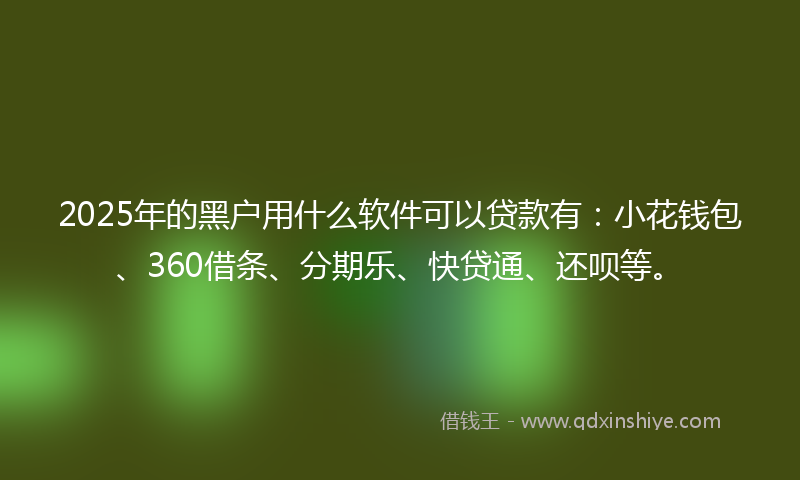 2025年的黑户用什么软件可以贷款有：小花钱包、360借条、分期乐、快贷通、还呗等。