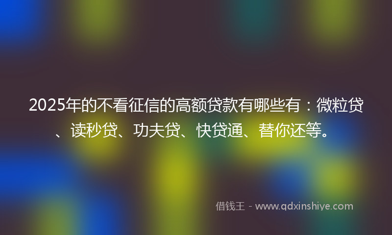 2025年的不看征信的高额贷款有哪些有：微粒贷、读秒贷、功夫贷、快贷通、替你还等。