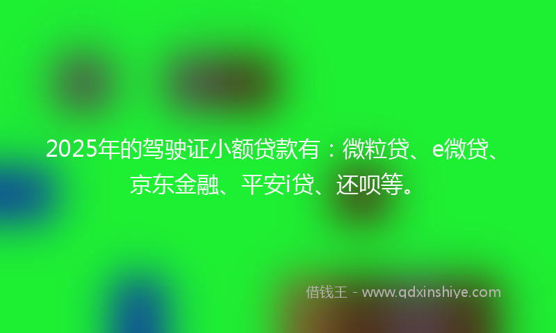 2025年的驾驶证小额贷款有：微粒贷、e微贷、京东金融、平安i贷、还呗等。