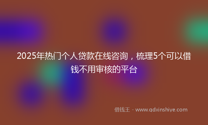 2025年热门个人贷款在线咨询，梳理5个可以借钱不用审核的平台