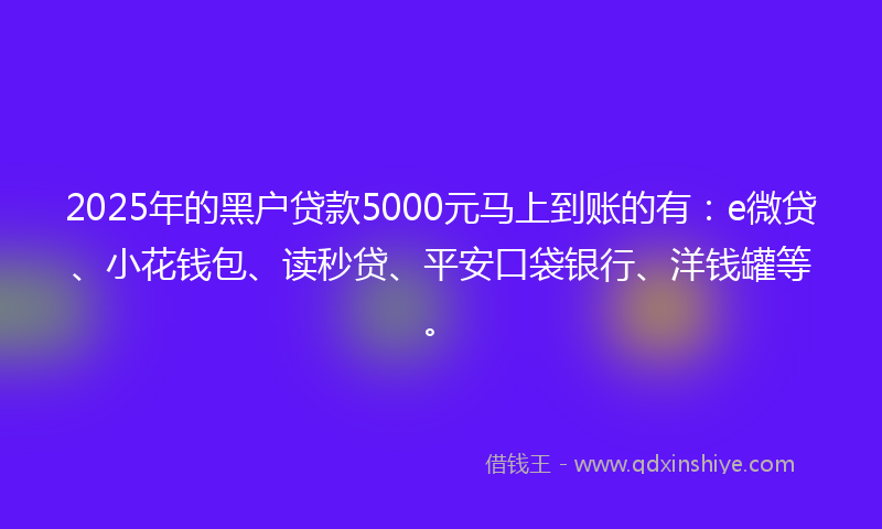 2025年的黑户贷款5000元马上到账的有：e微贷、小花钱包、读秒贷、平安口袋银行、洋钱罐等。