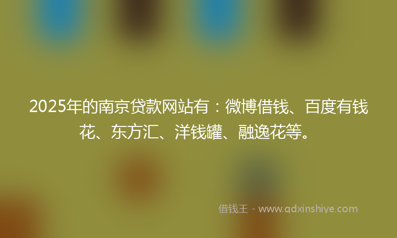2025年的南京贷款网站有：微博借钱、百度有钱花、东方汇、洋钱罐、融逸花等。