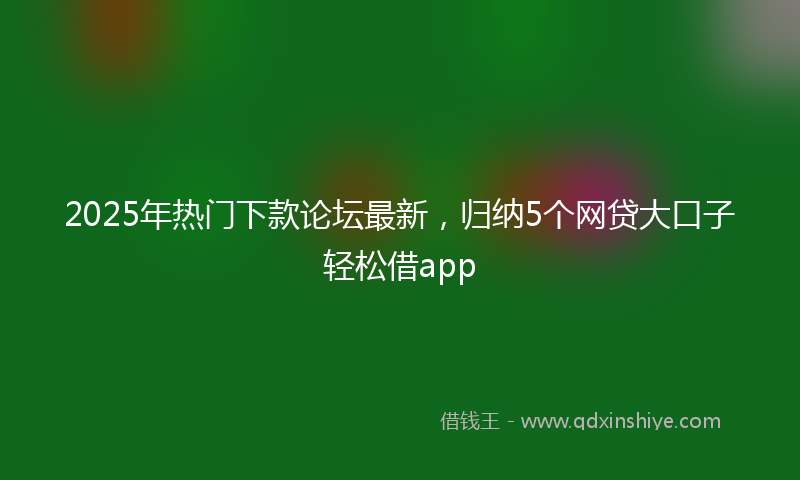 2025年热门下款论坛最新，归纳5个网贷大口子轻松借app