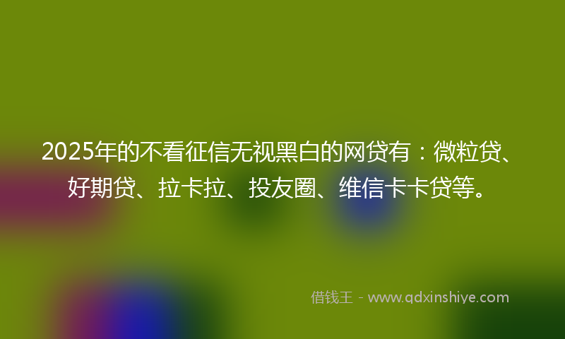 2025年的不看征信无视黑白的网贷有：微粒贷、好期贷、拉卡拉、投友圈、维信卡卡贷等。