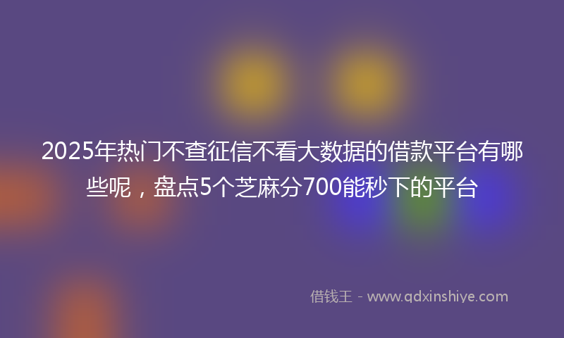 2025年热门不查征信不看大数据的借款平台有哪些呢，盘点5个芝麻分700能秒下的平台