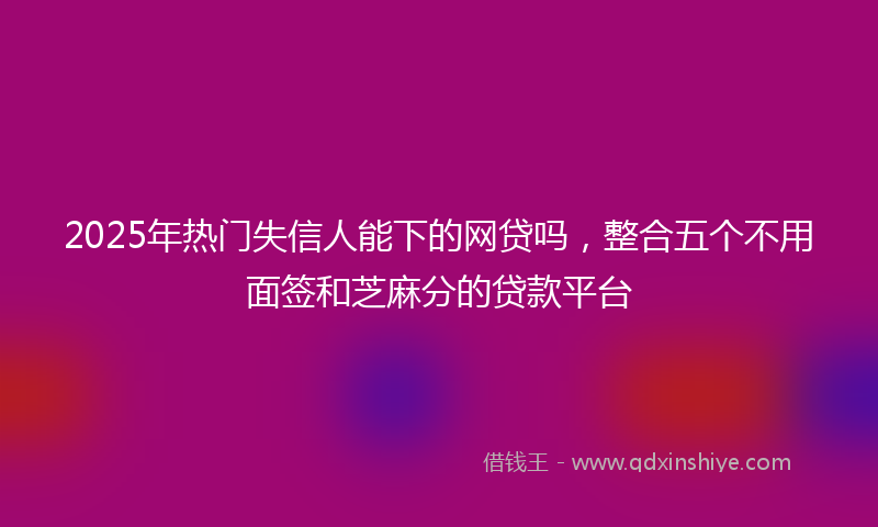 2025年热门失信人能下的网贷吗，整合五个不用面签和芝麻分的贷款平台