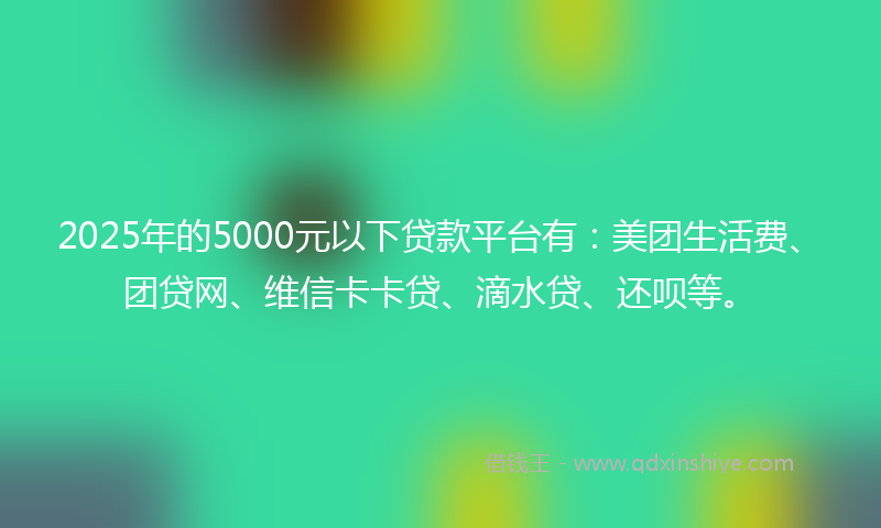 2025年的5000元以下贷款平台有：美团生活费、团贷网、维信卡卡贷、滴水贷、还呗等。