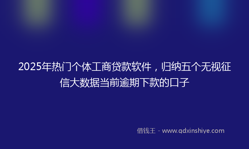 2025年热门个体工商贷款软件，归纳五个无视征信大数据当前逾期下款的口子