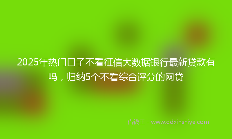 2025年热门口子不看征信大数据银行最新贷款有吗，归纳5个不看综合评分的网贷
