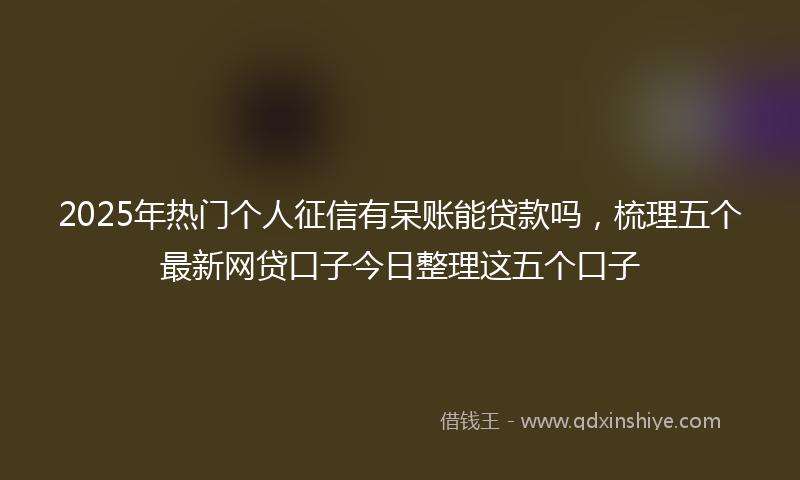 2025年热门个人征信有呆账能贷款吗，梳理五个最新网贷口子今日整理这五个口子