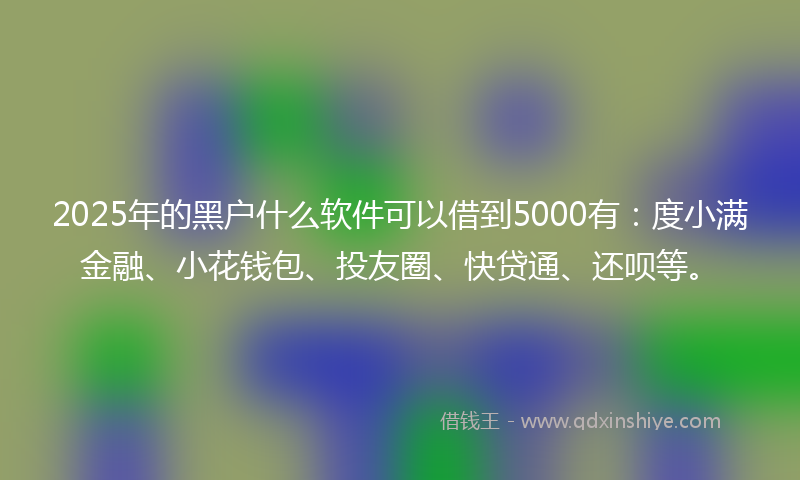 2025年的黑户什么软件可以借到5000有：度小满金融、小花钱包、投友圈、快贷通、还呗等。