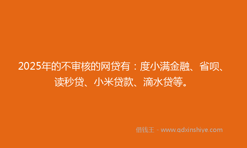 2025年的不审核的网贷有：度小满金融、省呗、读秒贷、小米贷款、滴水贷等。