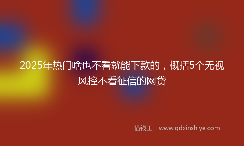 2025年热门啥也不看就能下款的，概括5个无视风控不看征信的网贷