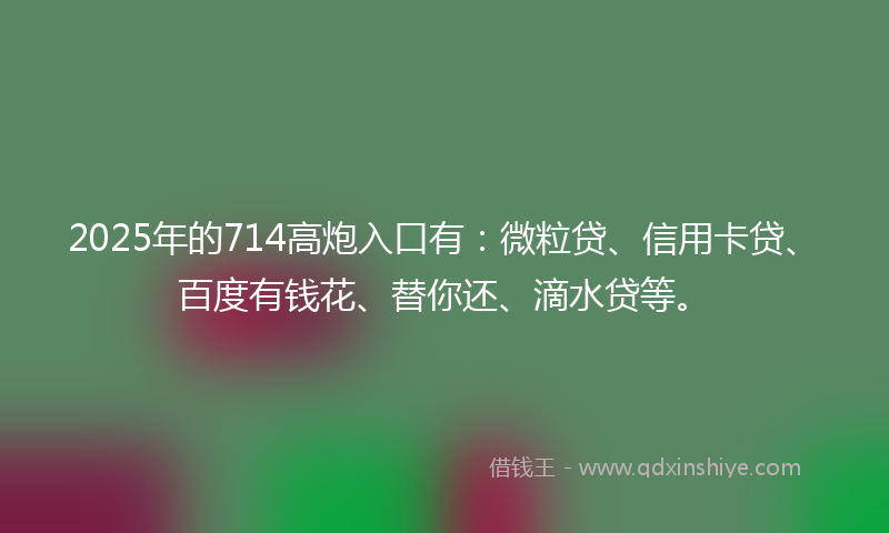 2025年的714高炮入口有：微粒贷、信用卡贷、百度有钱花、替你还、滴水贷等。