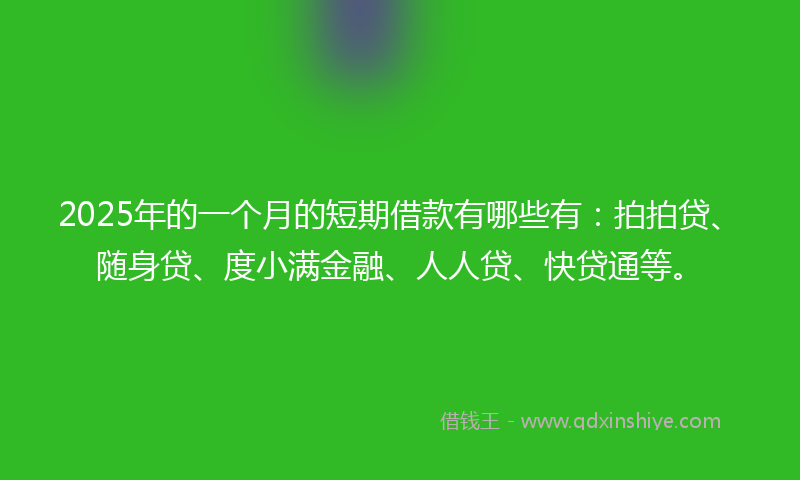 2025年的一个月的短期借款有哪些有：拍拍贷、随身贷、度小满金融、人人贷、快贷通等。