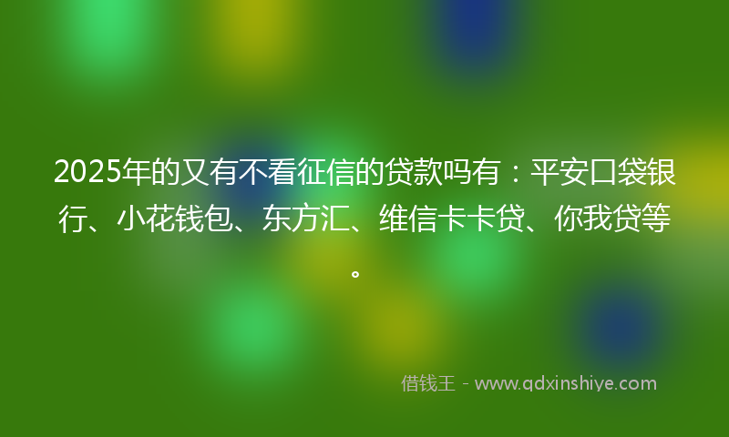 2025年的又有不看征信的贷款吗有：平安口袋银行、小花钱包、东方汇、维信卡卡贷、你我贷等。