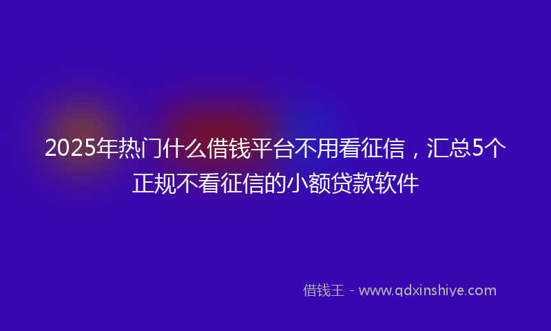 2025年热门什么借钱平台不用看征信，汇总5个正规不看征信的小额贷款软件