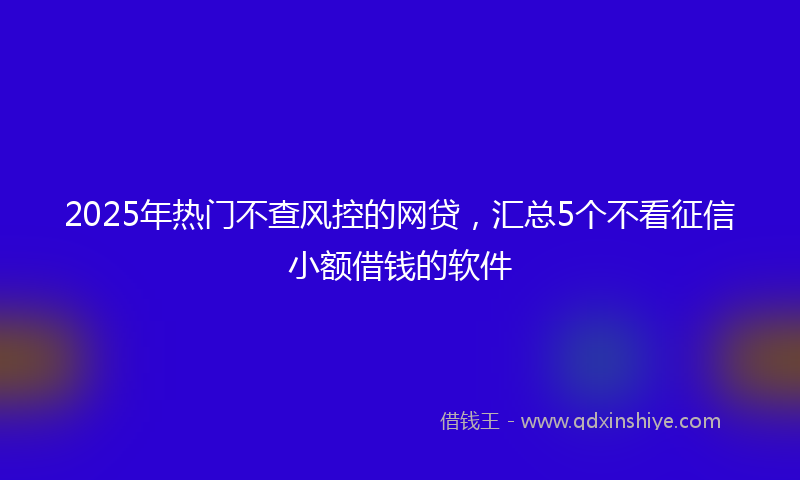 2025年热门不查风控的网贷，汇总5个不看征信小额借钱的软件