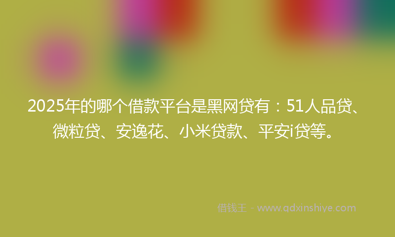 2025年的哪个借款平台是黑网贷有：51人品贷、微粒贷、安逸花、小米贷款、平安i贷等。