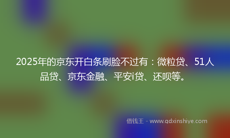 2025年的京东开白条刷脸不过有：微粒贷、51人品贷、京东金融、平安i贷、还呗等。
