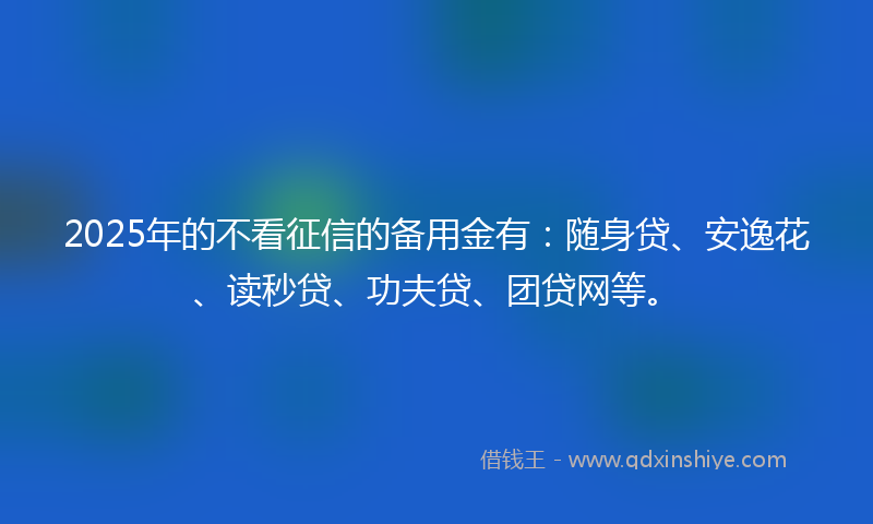 2025年的不看征信的备用金有：随身贷、安逸花、读秒贷、功夫贷、团贷网等。